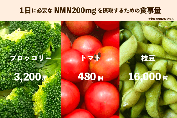 1日に必要なNMNの食事量